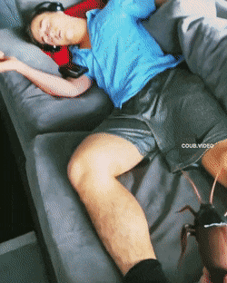 dirty minds only 32 gifs 5.html - 1 HD GIF | Premium Gallery 2021