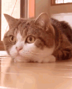 dirty minds only 32 gifs 5.html - 1 HD GIF | Premium Gallery 2021