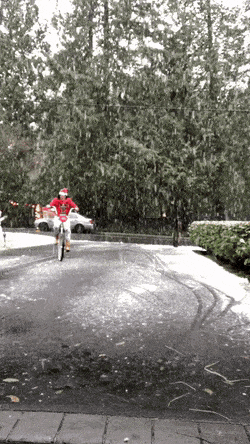 Happy New Year, Our Dear Izispicers!