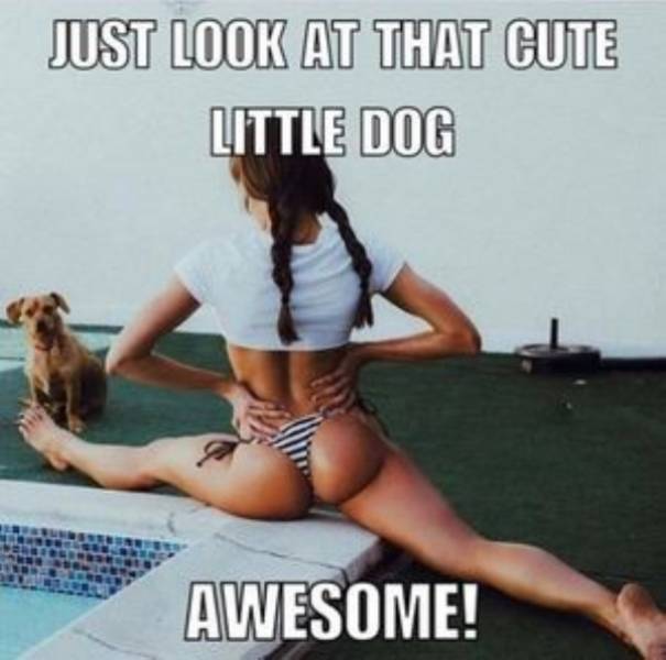 Dirty... Just The Way You Like It!