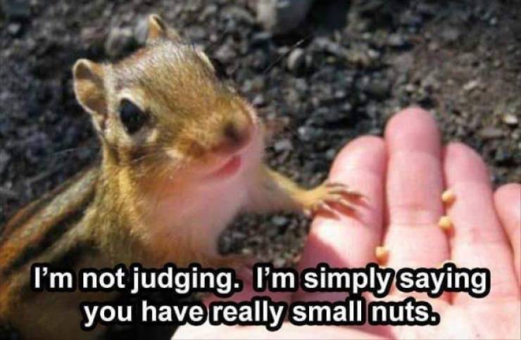 how dirty is your mind 60 pics 18.html - 60 HD Photos | Premium Gallery 2022