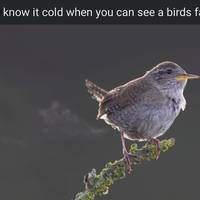 these girls are pretty funny 18 pics.html - 18 HD Photos | Premium Gallery 2022