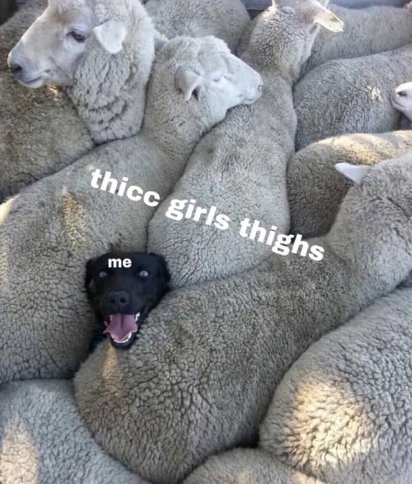 just a bit of dirtiness 70 pics 34.html - 70 HD Photos | Premium Gallery 2022