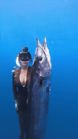 hot girls are here for you 46 gifs 2.html - 1 HD GIF | Premium Gallery 2022