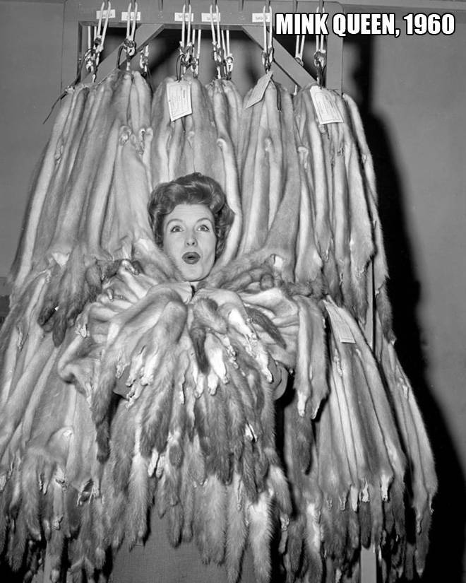 Past Century’s Weird Beauty Pageant Queens