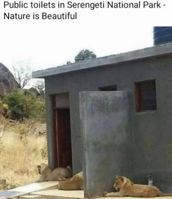 These Memes Are Super Dirty!