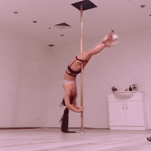 pole professionals not found 17 gifs 1.html - 1 HD GIF | Premium Gallery 2022