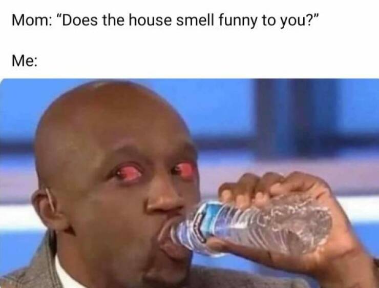 How High Are These Weed Memes?!