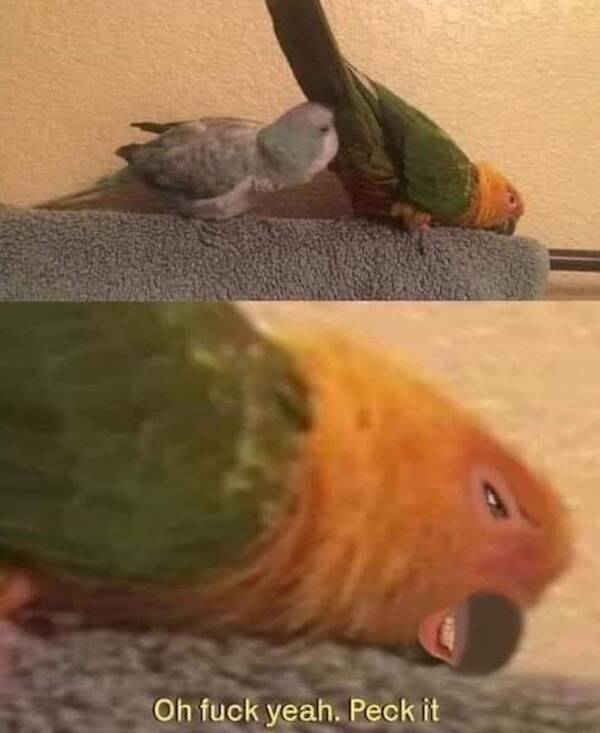 dirty minds assemble 70 pics 11.html - 70 HD Photos | Premium Gallery 2022