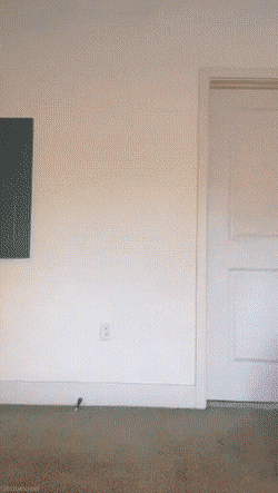 hot girls are here for you 42 gifs 4.html - 1 HD GIF | Premium Gallery 2022