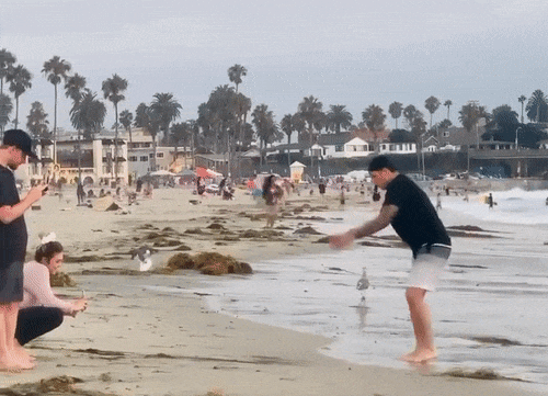 Influencers Gone Wild…