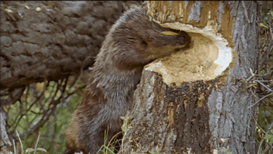 People Reveal Their Crazy One-Night-Stand Stories