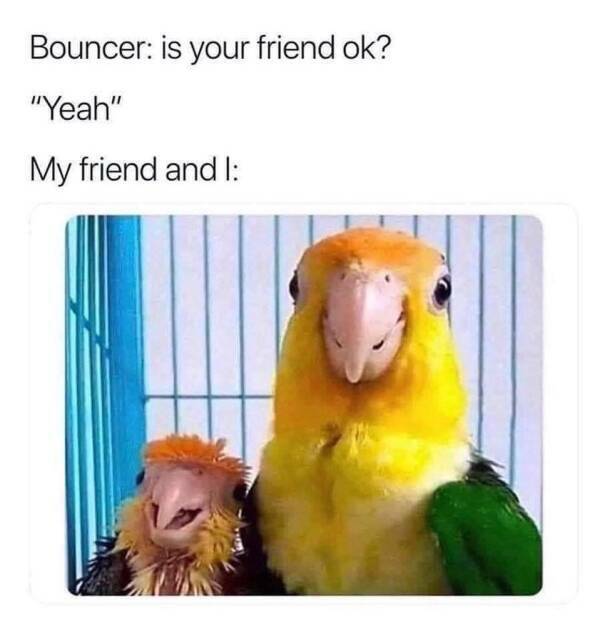 so wasted 43 pics 15 gifs 23.html - 43 HD GIF | Premium Gallery 2022