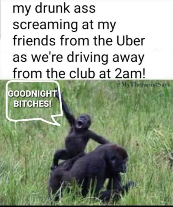 so wasted 43 pics 15 gifs 23.html - 43 HD GIF | Premium Gallery 2022