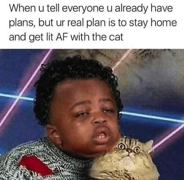 These Memes Are Way Too High!