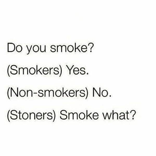 These Memes Are Way Too High!