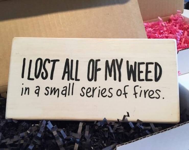 These Memes Are Way Too High!