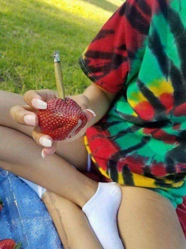 These Memes Are Way Too High!