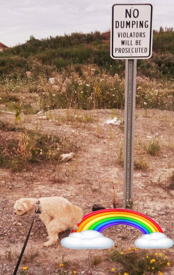 Just Some Adult Humor For Ya