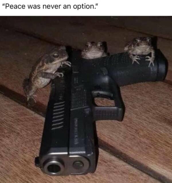 Just Some Adult Humor For Ya