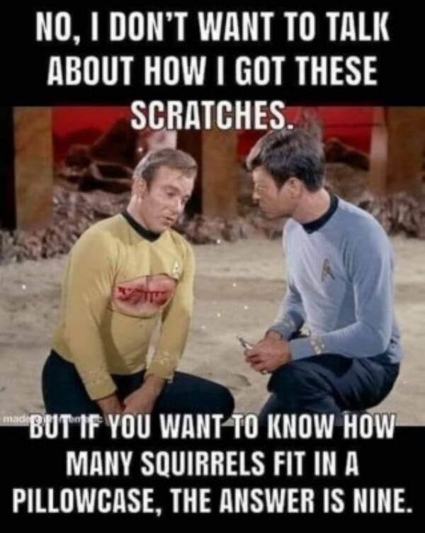 Just Some Adult Humor For Ya