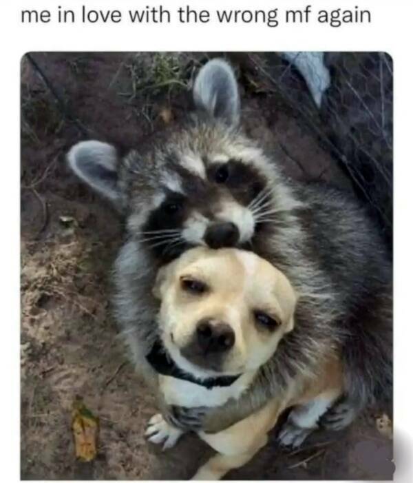 Dating Can Be Spicy, But Painful…