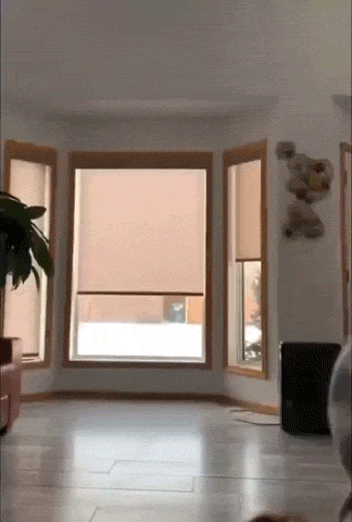 these fails are mighty fine 35 gifs 2.html - 1 HD GIF | Premium Gallery 2022