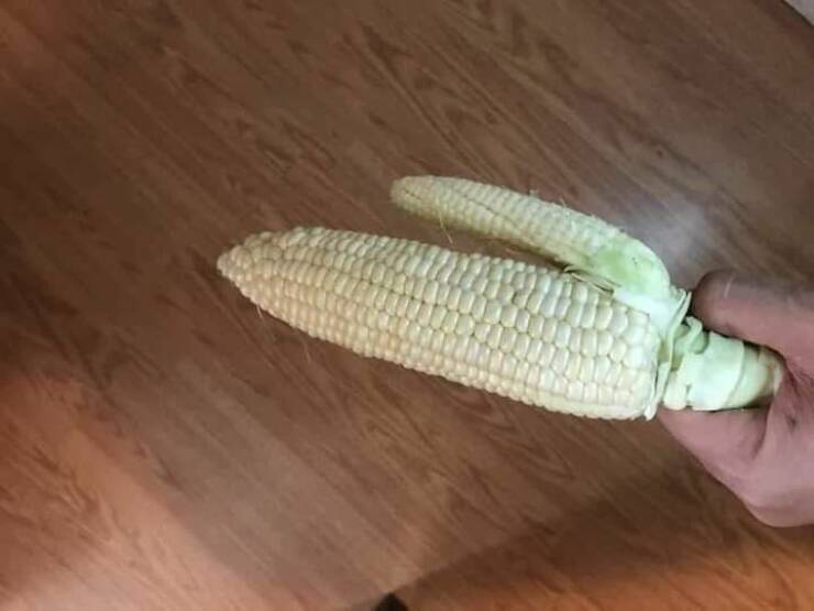 Dirty Mind, Come Here!