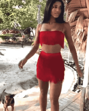 hot girls are here for you 42 gifs 4.html - 1 HD GIF | Premium Gallery 2022