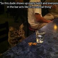 behind the mirror 50 pics.html - 50 HD Photos | Premium Gallery 2022