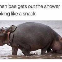 exercise is important video.html - 1 HD Video | Premium Gallery 2023