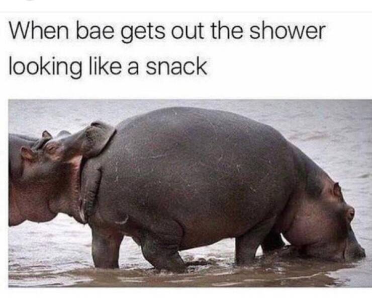 Yeah, That’s Dirty Enough!
