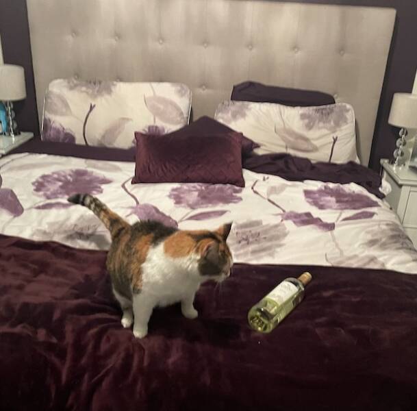 The Weekend Is Almost Here!