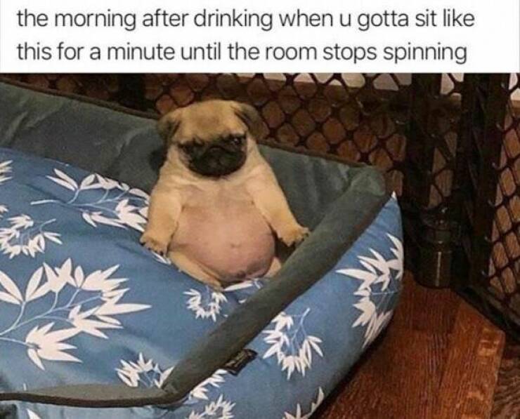 The Weekend Is Almost Here!