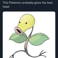 someone is stupid video.html - 1 HD Video | Premium Gallery 2023