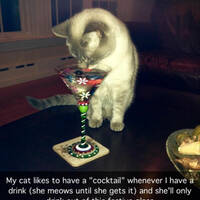 so fit and so sexy 42 gifs.html - 1 HD GIF | Premium Gallery 2023