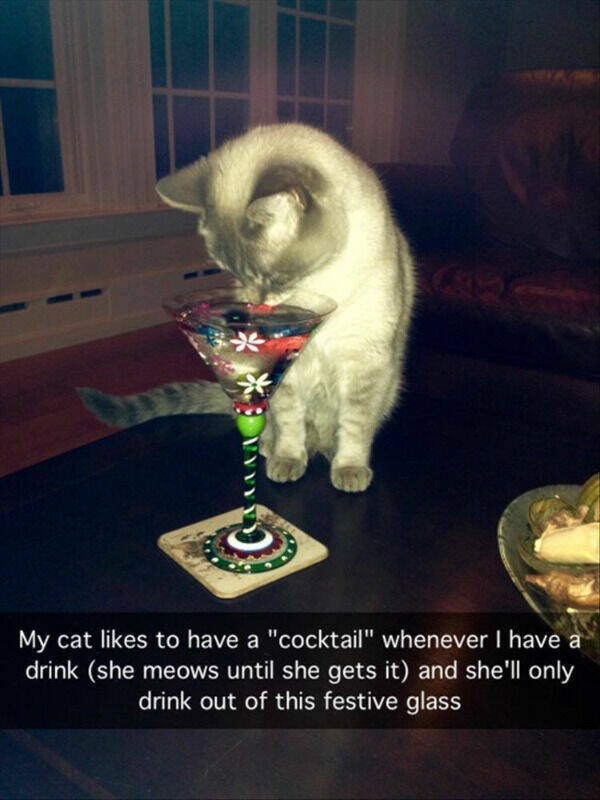 How Wasted Are They?!