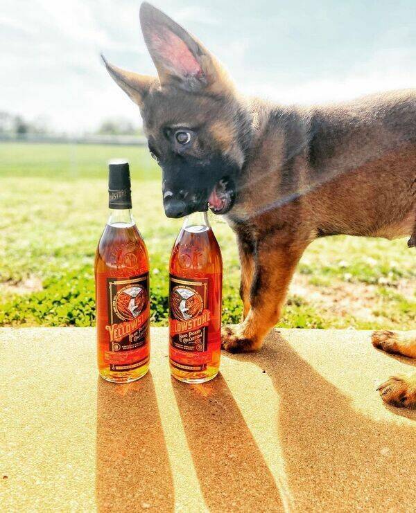 How Wasted Are They?!