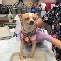 woo bouncy 28 gifs.html - 1 HD GIF | Premium Gallery 2023