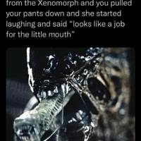 boobs like these are gods gift to men 43 pics.html - 43 HD GIF | Premium Gallery 2022