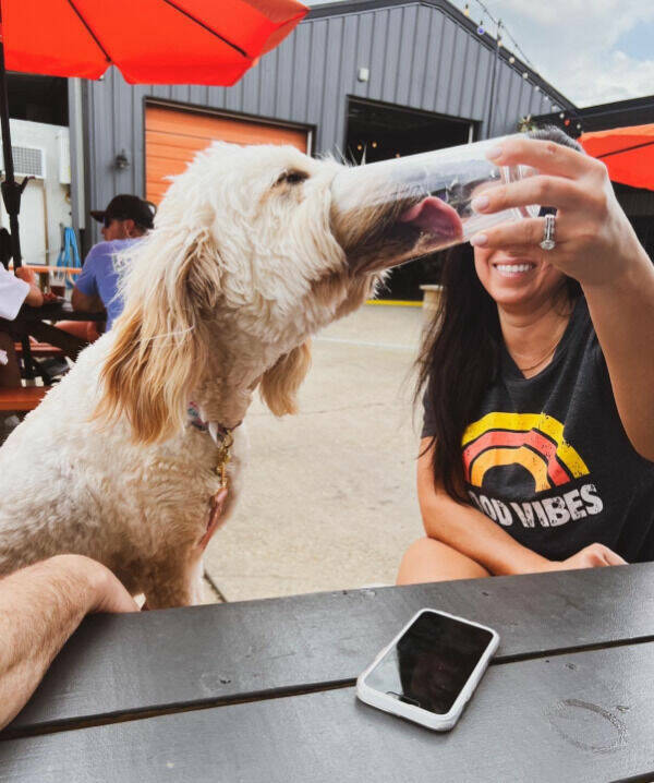 High Alcohol Level Detected!