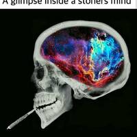 red hot n shameless video.html - 1 HD Video | Premium Gallery 2022