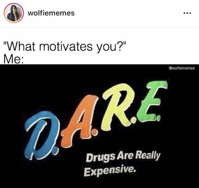 These Memes Are Higher Than The Sky…