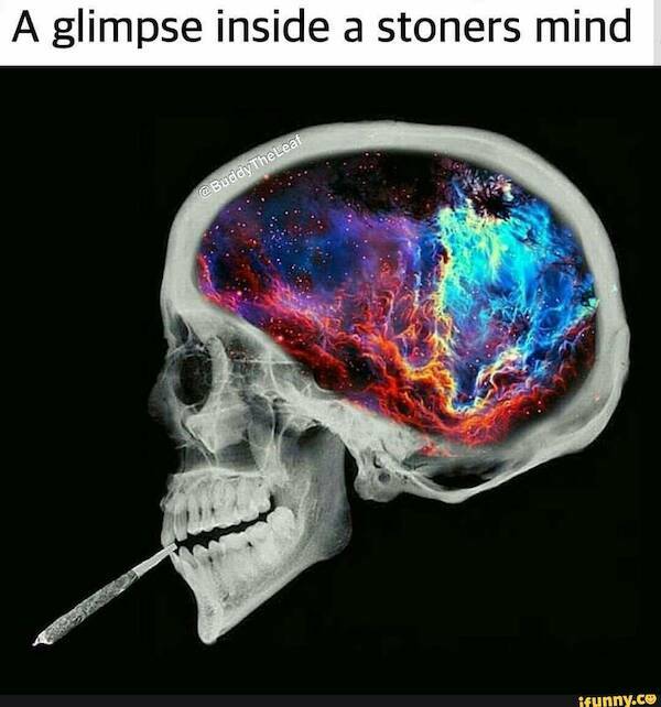 These Memes Are Higher Than The Sky…