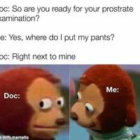 girls having some fun 46 gifs.html - 1 HD GIF | Premium Gallery 2023