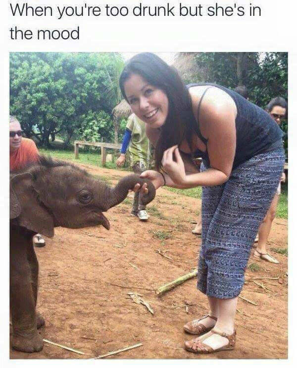 Dirtiness To The Maximum!