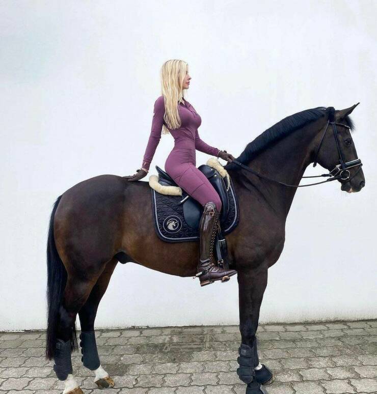 grownup corner 59 pics 24.html - 59 HD Photos | Premium Gallery 2022