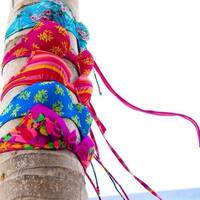 sarah from italy video.html - 1 HD Video | Premium Gallery 2023