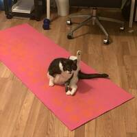 porn normalized so many weird things 15 gifs.html - 1 HD GIF | Premium Gallery 2022