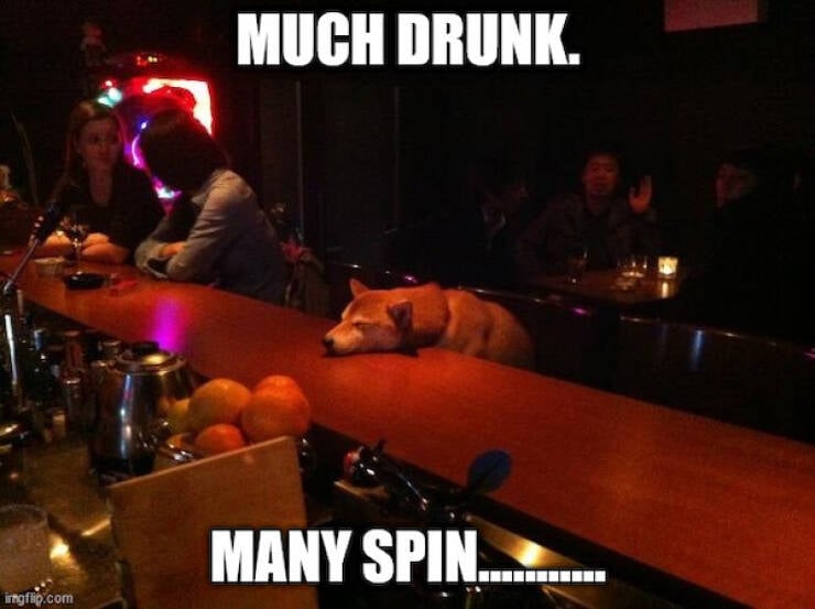 drinking never ends 26 pics 16 gifs 12.html - 26 HD GIF | Premium Gallery 2022